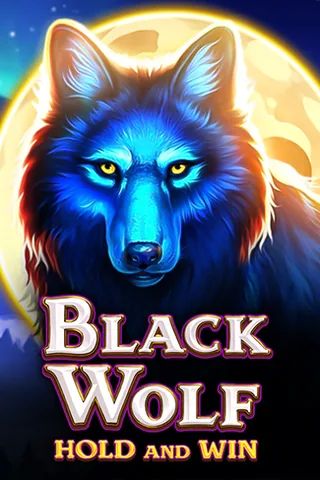 Black Wolf oyununun kapak görseli